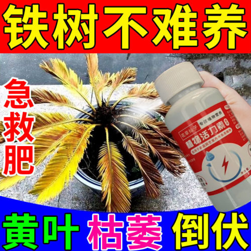 铁树专用肥料防黄叶病烂根营养液叶子发黄一喷绿室内盆栽叶面肥