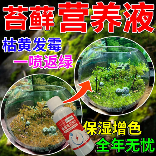 【一喷猛长】苔藓营养液专用肥盆栽绿植液体肥免稀释治黄叶肥料