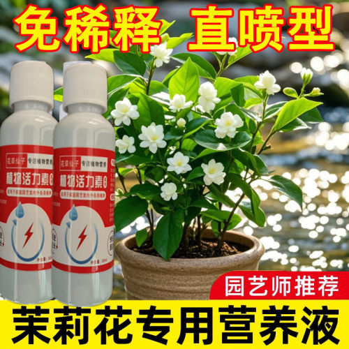 花卉绿植通用营养液茉莉干枯营养液专治茉莉黄叶黑叶不植物再生剂