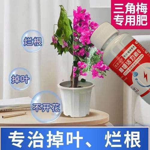 三角梅复活液老桩催芽剂防枯树烂根黄叶强力生根液药水专用营养液