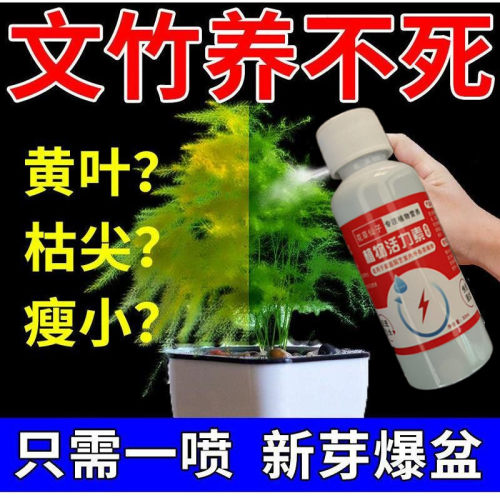 免稀释文竹专用营养液肥料家用盆栽植物液体肥室内养花绿植通用型