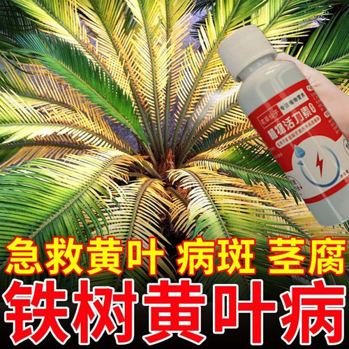 铁树专用肥料营养液绿植苏铁叶子发黄一喷绿室内户外通用型生根液
