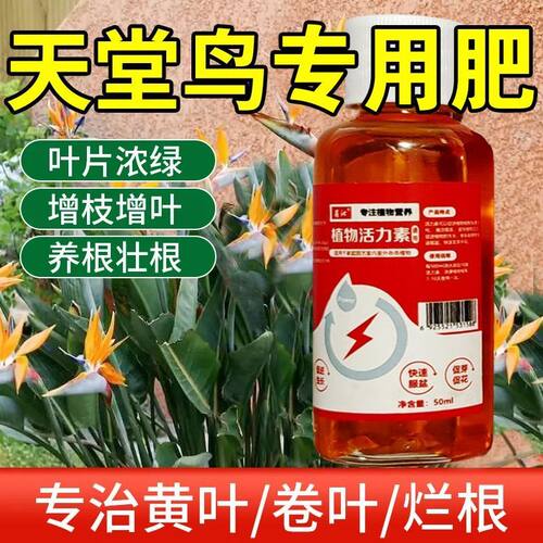 天堂鸟肥料营养液家用盆栽黄叶卷边开裂绿植通用型植物花肥料