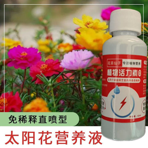 太阳花专用活力素花卉盆栽植物活力素生根剂养花促生长僵苗生长素