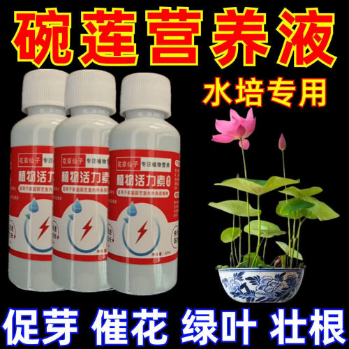 【高效】碗莲营养液专用防黄叶发黑烂叶催芽促开花增肥专用液体肥
