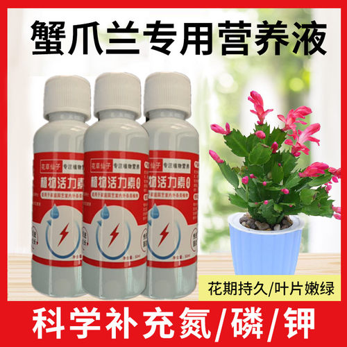 蟹爪兰专用营养液专用肥植物液体肥花肥增肥增绿促开花肥料通用