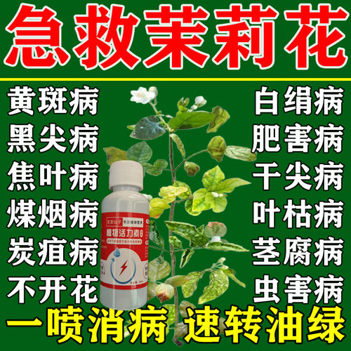 茉莉花肥料专用肥四季开花营养液家用氮磷钾酸性养花花肥