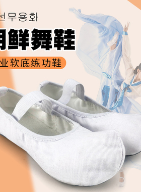 朝鲜舞鞋韩国传统勾勾鞋白色古典舞蹈鞋室内练功鞋儿童成人帆布