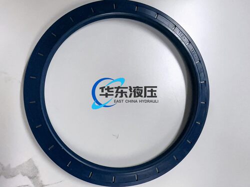 德国进口CFW BAB5SL0.8 耐高压油封  100x120x7.5液压泵马达轴封