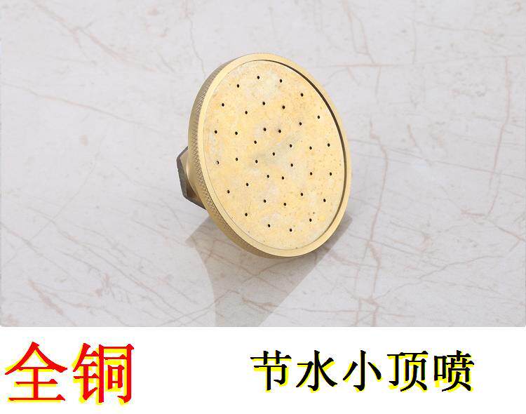 全铜防堵淋雨吊顶浴池喷头增压节水莲蓬澡堂宿舍顶喷花洒固定接口