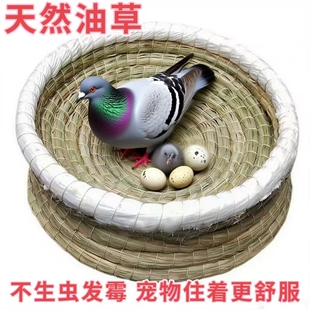 油草鸽子窝孵蛋专用草窝信鸽元宝鸽子巢窝阳台斑鸠繁殖窝鸡窝鸟窝