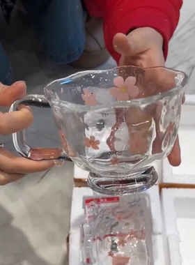 杯子网红爆款 2025 新款 INS 风可爱玻璃杯学生早餐的高颜值之选