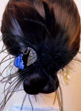 抓夹网红爆款2025高级感四倍毛量大号黑色羽毛发抓高颅顶夹子