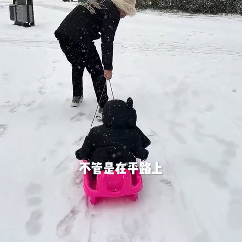 滑雪板儿童可坐特厚加厚双人亲子滑草板成人雪橇爬犁带刹车