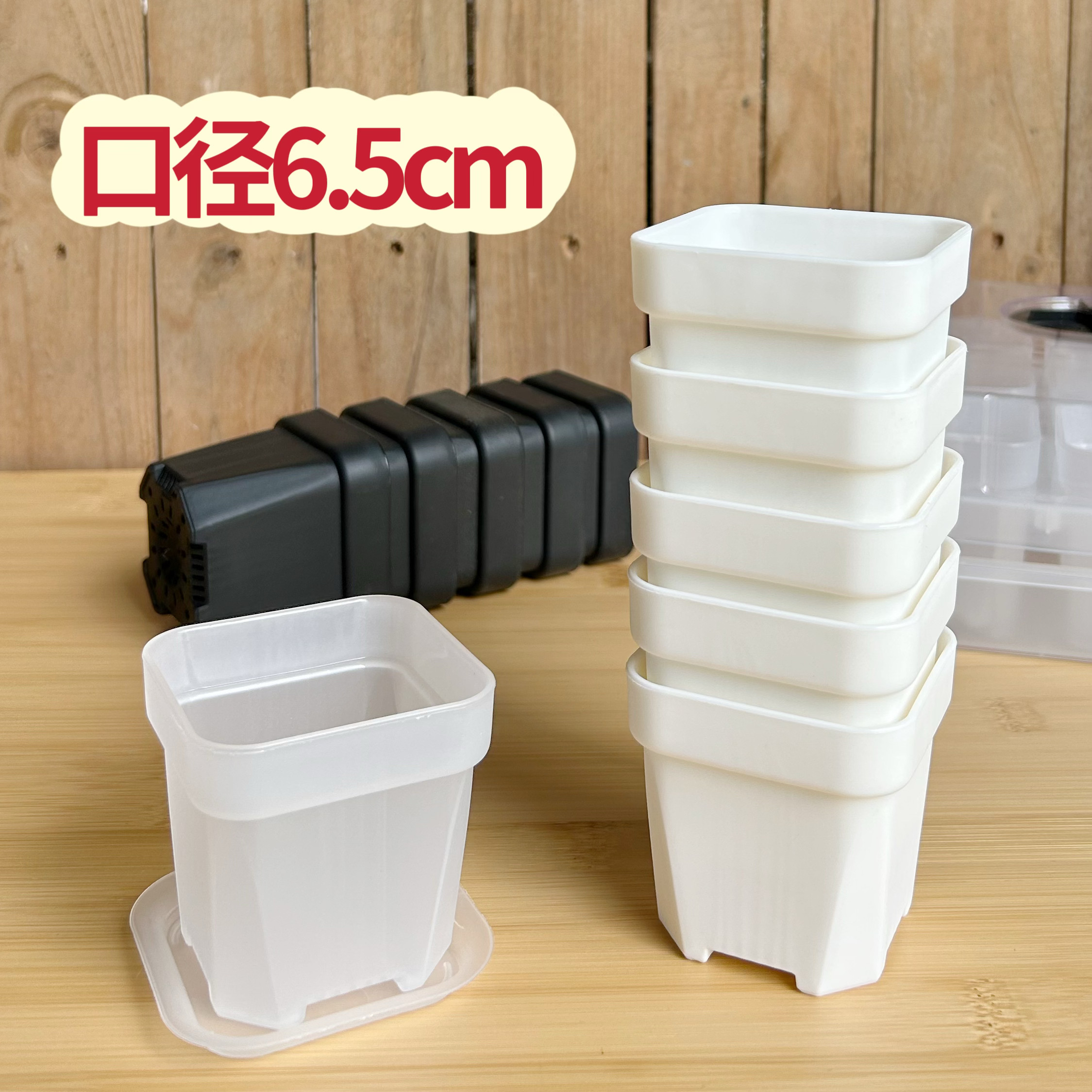 【口径6.5cm】特厚多肉方盆生石花肉锥播种塑料扦插小白方拇指盆,鲜花速递/花卉仿真/绿植园艺,花盆,淘宝优惠券,粉丝福利购,淘宝优惠卷