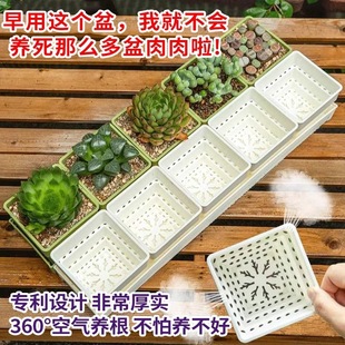 简约多肉专用花盆创意小白方组合树脂加厚控根透气塑料植物种植盆