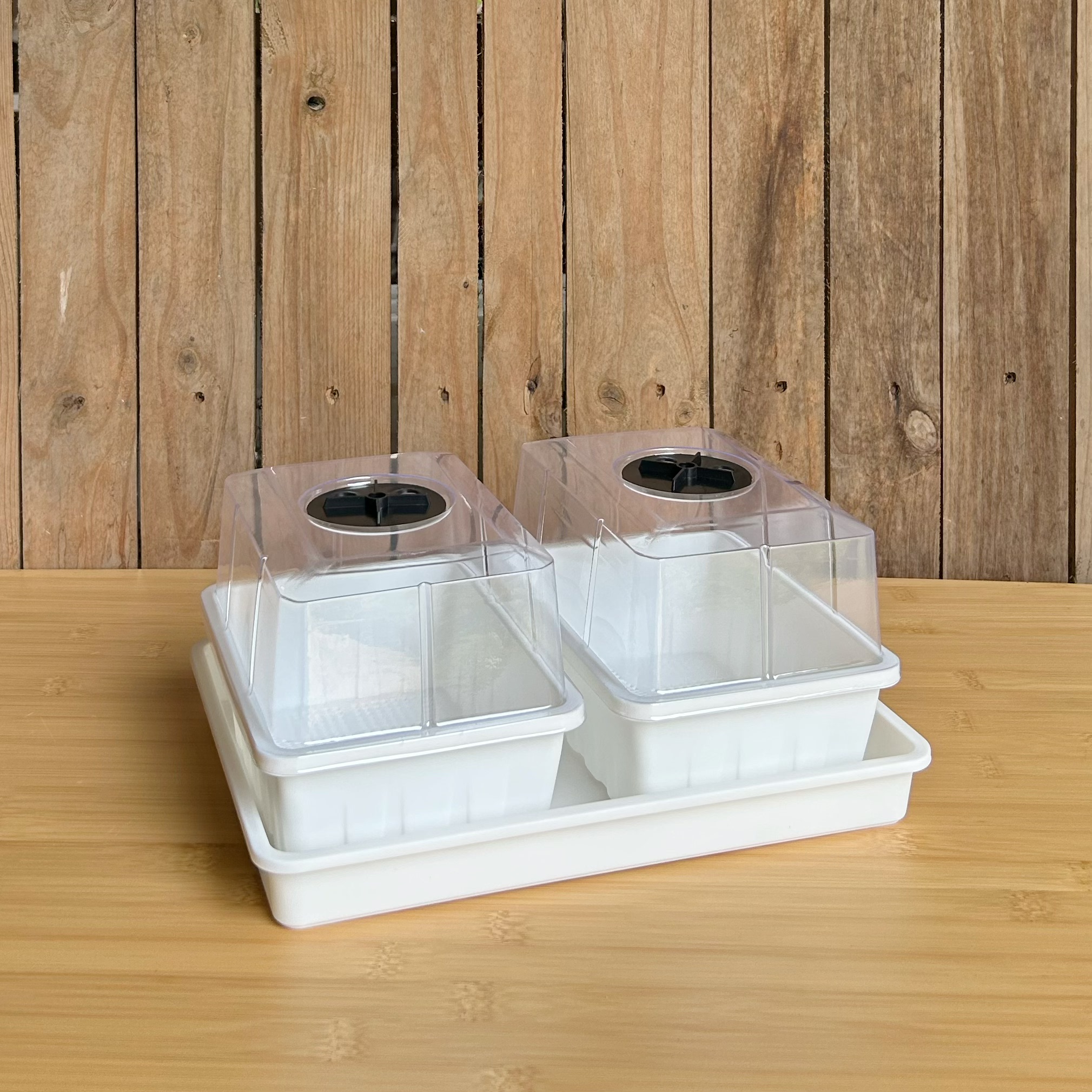 生石花种闷养盖特小叶插盆播种花盆加厚塑料长方形多肉盆育苗盘