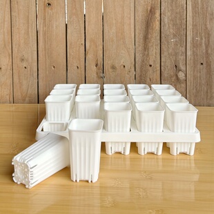 【口径5】20格/40孔托架特小多肉塑料花盆整理浸水盘育苗播种植盆