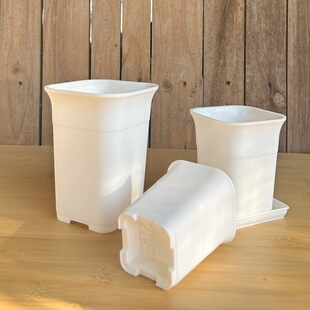 万象盆方形白色多肉盆加厚磨砂花盆特厚小白方玉露十二卷酢浆草盆