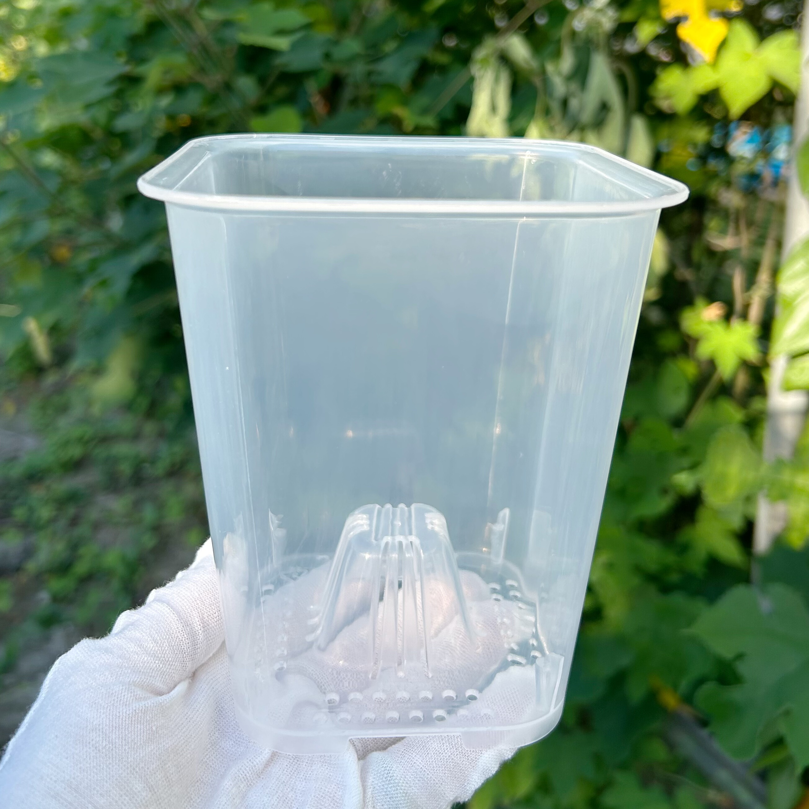 高透明蝴蝶兰观根方口种植塑料花盆秋海棠热植多肉块根盆文心兰盆