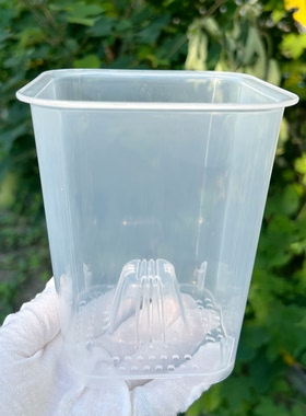 高透明蝴蝶兰观根方口种植塑料花盆秋海棠热植多肉块根盆文心兰盆