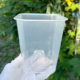 高透明蝴蝶兰观根方口种植塑料花盆秋海棠热植多肉块根盆文心兰盆