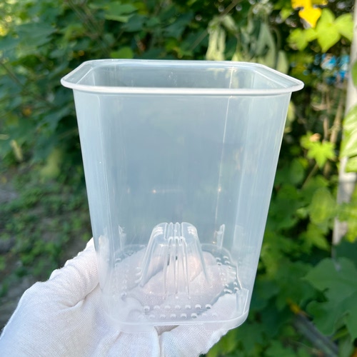 高透明蝴蝶兰观根方口种植塑料花盆秋海棠热植多肉块根盆文心兰盆