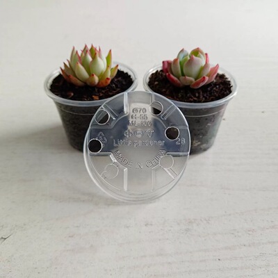 【方便观察根系】简约高透明塑料花盆透气多肉育苗盆便于蝴蝶兰盆