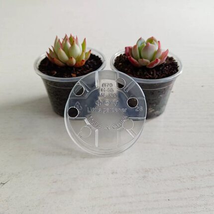 【方便观察根系】简约高透明塑料花盆透气多肉育苗盆便于蝴蝶兰盆