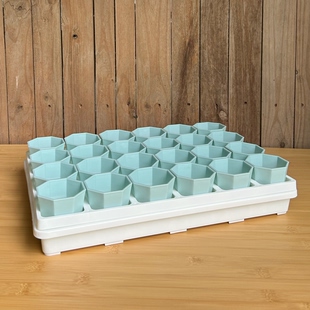 24格组合加厚八角盆多肉花盆托盘花架塑料玉露生石花 口径7cm