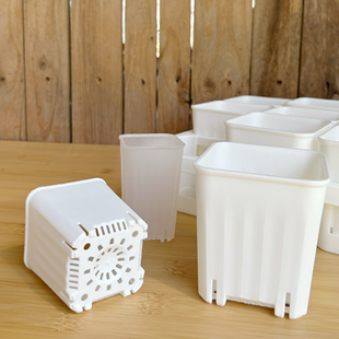 【口径5cm/6cm/8cm】矮胖多肉塑料花盆扦插盆矮小白方透明多肉盆