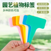 园艺标签牌T型防水塑料花卉牌 二代加厚 多肉植物记号牌 新款