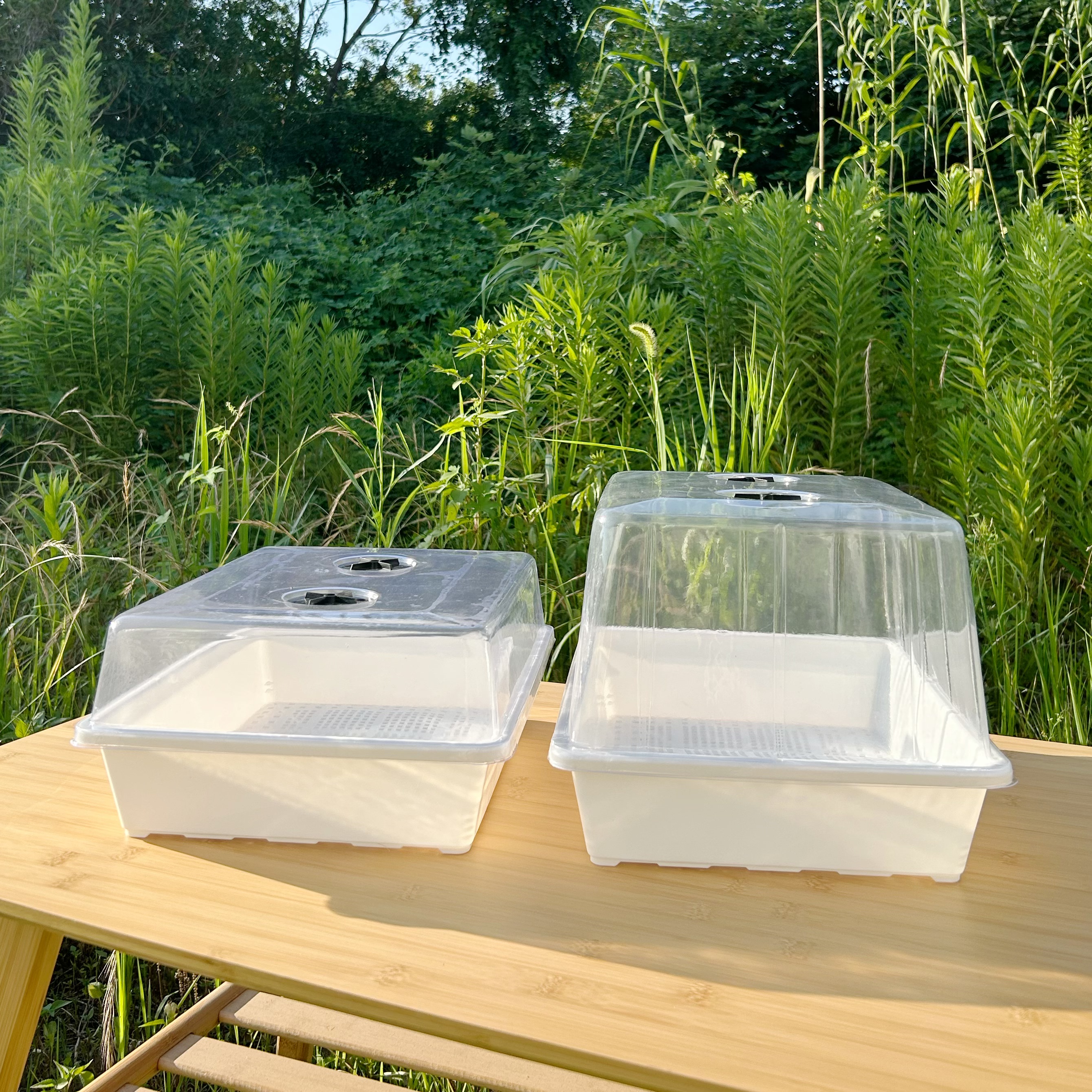 【加高盖】多肉育苗盘叶插盘播种盆多肉盆整理筐白色加厚扦插盘