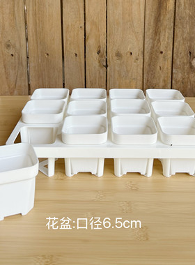 【口径6.5cm】12格镂空托架透明方盆叶插整理收纳托盘多肉小方盆