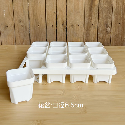 【口径6.5cm】12格镂空托架透明方盆叶插整理收纳托盘多肉小方盆