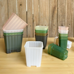 10cm 半透明多肉方花盆塑料加厚迷你特小花卉育苗种植盆 口5