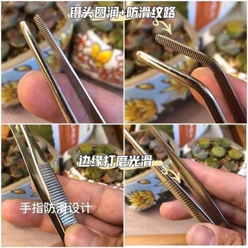 多肉直头镊子工具维修夹子不锈钢超长镊子加长加厚敷料鱼缸水草夹