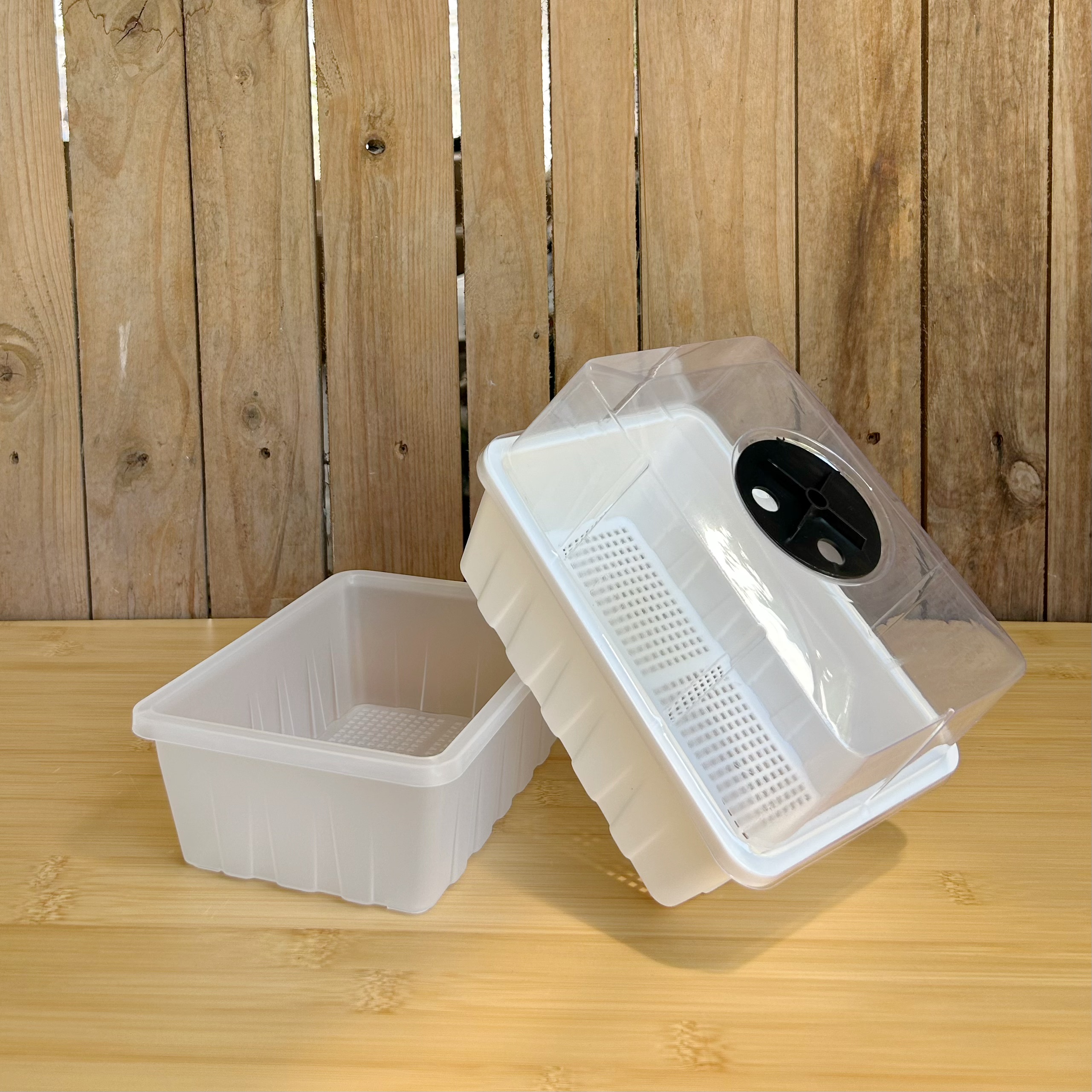 育苗盘种植多肉塑料盆透气美观