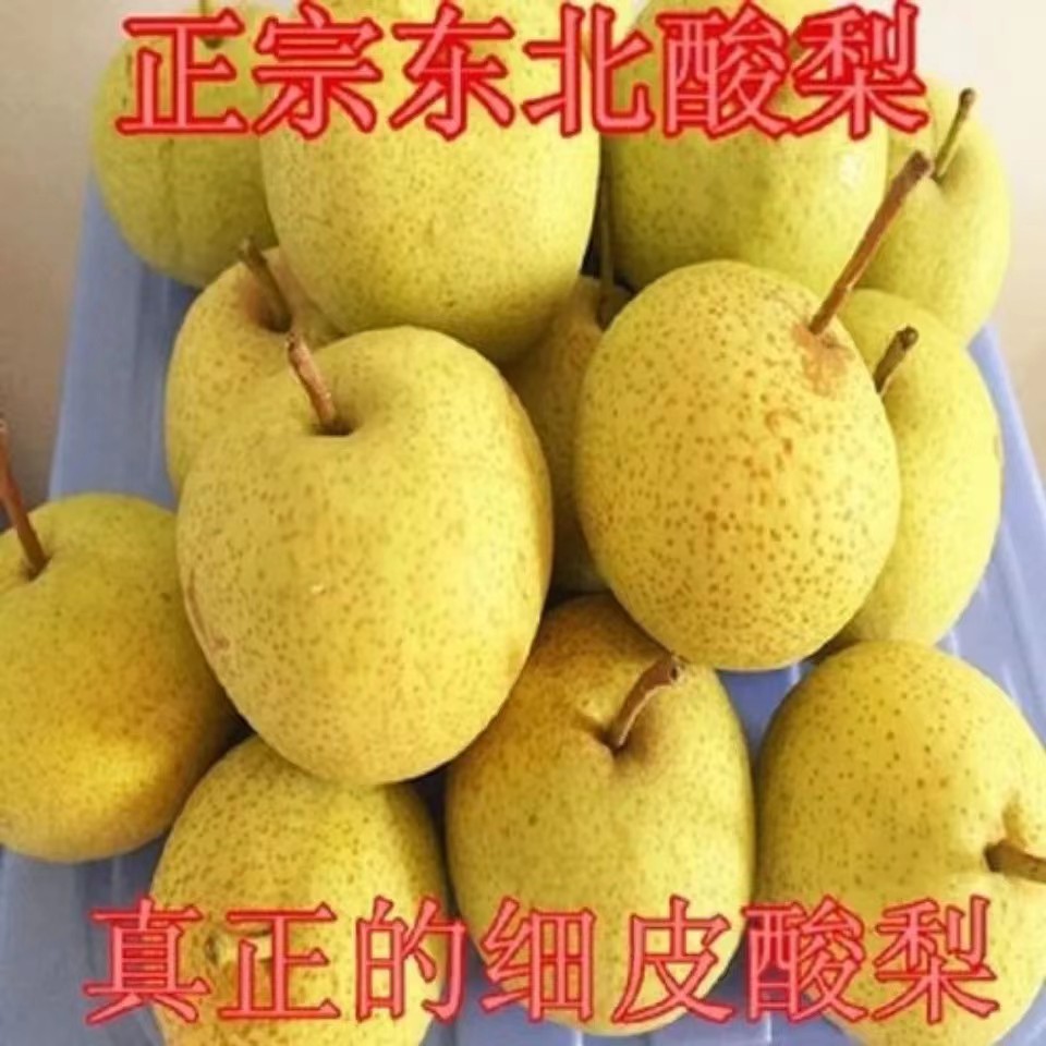 东北大酸梨安梨细皮细渣产地发货新鲜水果孕妇食品可做冻梨
