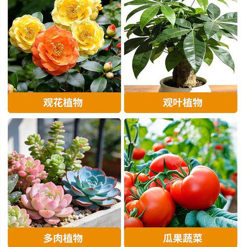 十效合一全能颗粒肥撒施冲施微量元素水溶肥全面营养保花促根壮苗