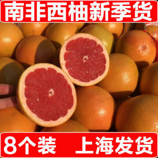 新鲜鲜果 包邮 南非西柚 红心西柚大果孕妇柚子进口葡萄柚水果
