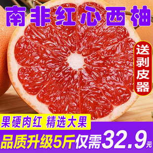 南非进口红心西柚新鲜水果蜜柚当季葡萄柚子孕妇红肉整箱包邮大果