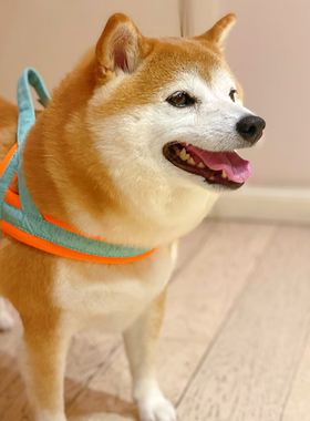 日本白山hakusan 第一线狗胸背轻盈透气柴犬柯基中小型犬马鞍背带