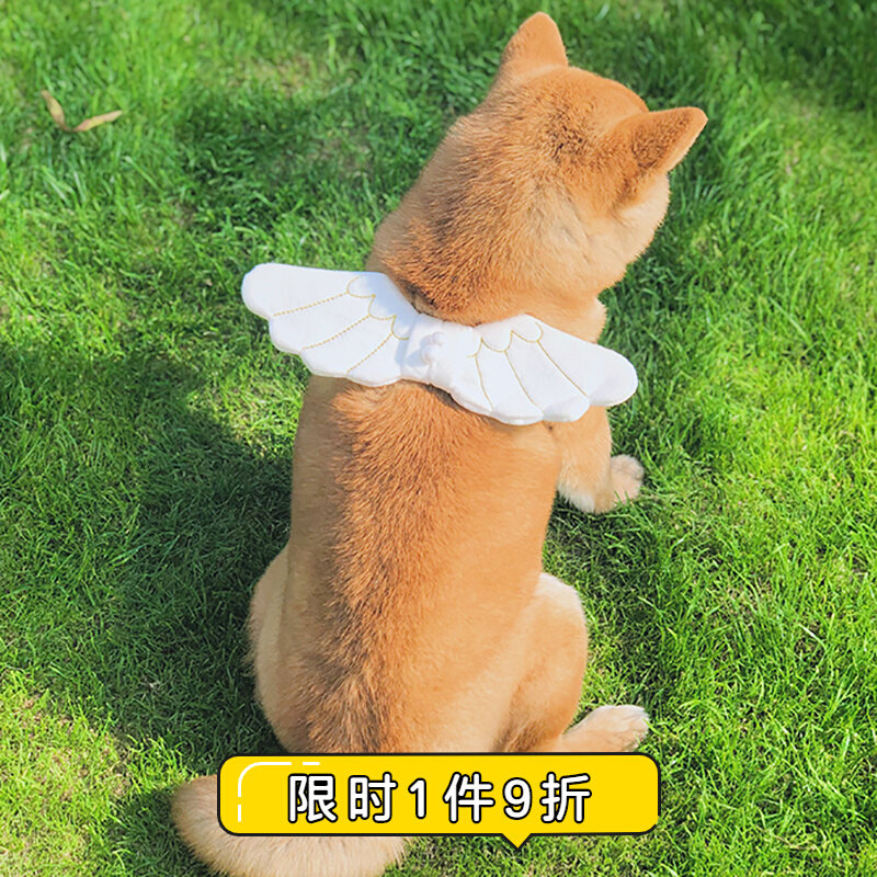 狗狗圣诞天使翅膀柴犬衣服配饰饰品可爱围脖玩具宠物中型犬装饰品 沙丘猫宠物会员商店 淘优券 狗狗圣诞天使翅膀柴犬衣服配饰饰品可爱围脖玩具宠物中型犬装饰品 沙丘猫宠物会员商店 淘优券