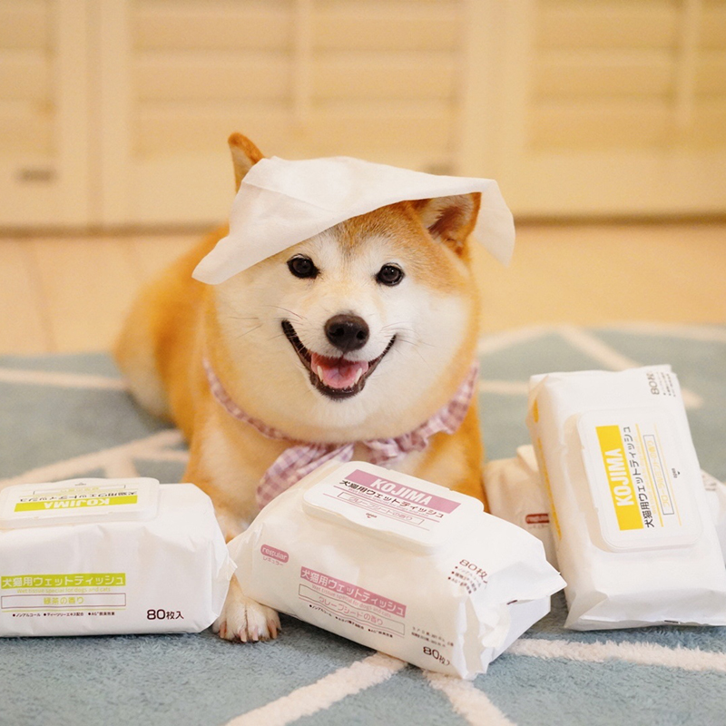 kojima宠物湿巾狗柴犬除臭杀菌