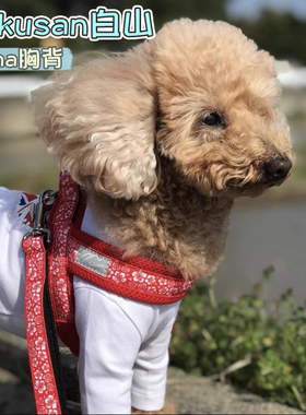 日本Hakusan白山AIoha小花马鞍大中小型犬狗狗柴犬宠物柯基胸背带