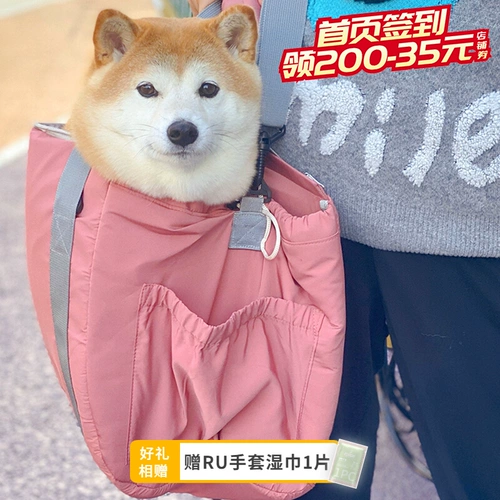 Собаки выходят, чтобы сделать собачье гнездо Шиба Ину Тедди Бомей Маленький собачий путешествие.