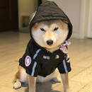 狗狗冲锋衣防风泰迪柴犬柯基中小型犬宠物下雨天防水衣服雨衣服装