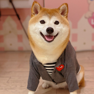 狗狗衣服春秋薄款开衫宠物柯基柴犬泰迪法斗网红小狗外出针织外套