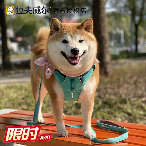 Lafwell Flangt Dog Traction Tract Roving Bound ремешок маленький собачий ездо